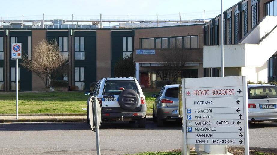 Operaio di 36 anni trovato senza vita in un campo