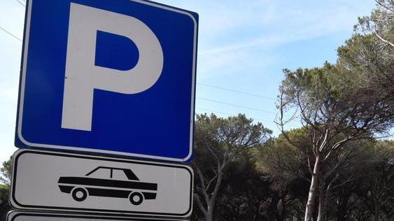 «La burocrazia rallenta gli interventi»