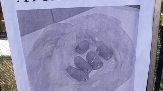 Animali, altre polpette killer in via di Valico