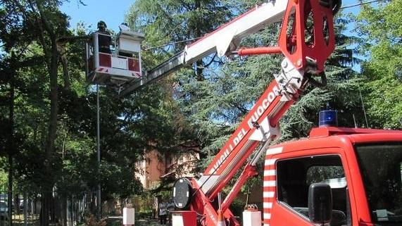 Il forte vento sferza l’Appennino e fa danni a Serramazzoni