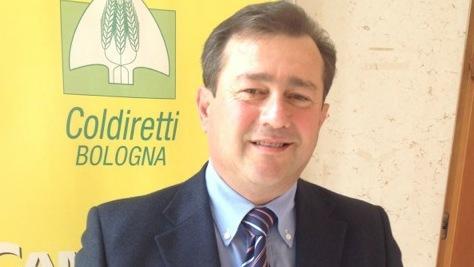 Disavanzo al Consorzio Emilia ma patrimonio netto di 50 milioni 