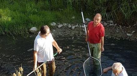 I pescatori nell'Elsa