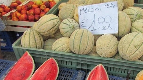 «Costi di produzione ormai troppo alti per gli agricoltori»
