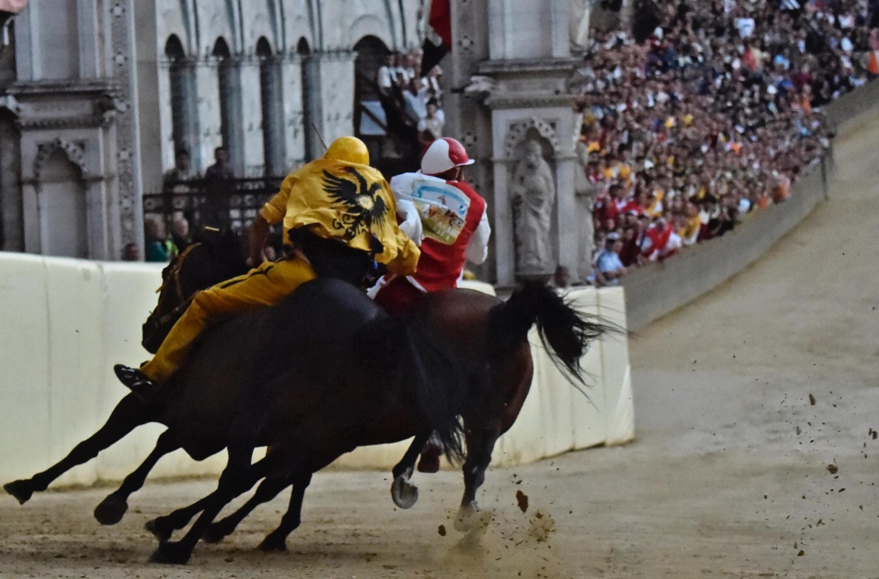 Il Palio è dei senesi, ma anche gli altri se ne innamorano