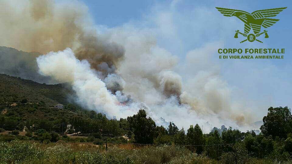 Un indagato per l'incendio di Gonnosfanadiga e Arbus 