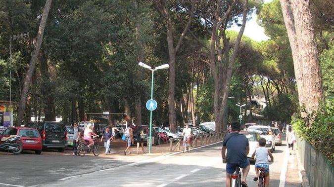 Telecamere sulla strada per scongiurare incidenti a Marina di Castagneto