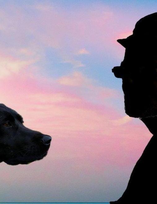 La storia di Ermes: l’amore ha 4 zampe 
