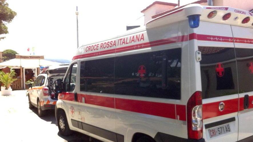 Scooter centra capriolo: un ferito grave