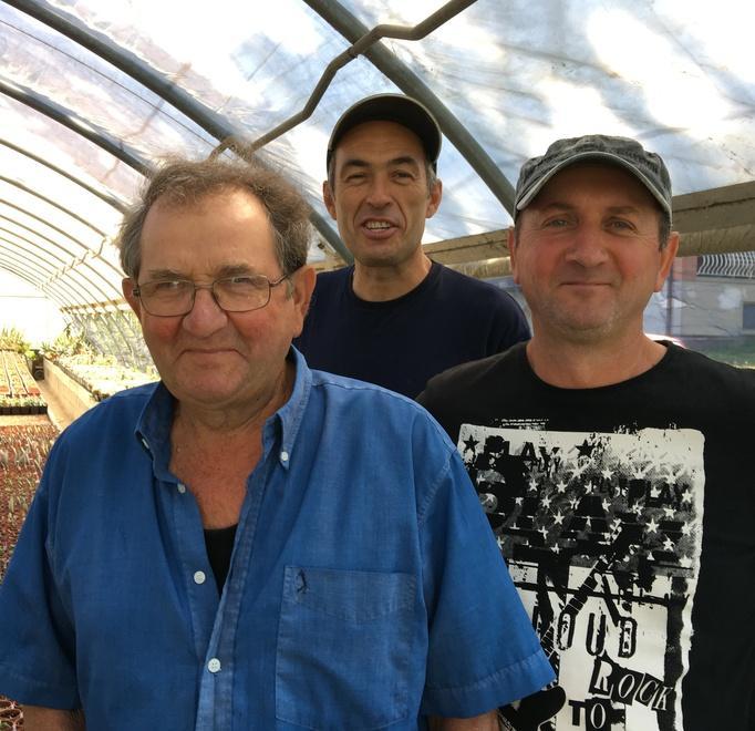 Vignola, azienda agricola Borghi: dalla passione un business 