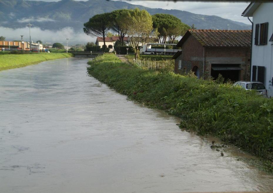 «Rimuovere i rifiuti accumulati sul fondo del Rio Leccio» 