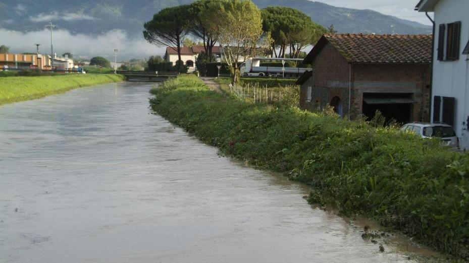 «Rimuovere i rifiuti accumulati sul fondo del Rio Leccio»