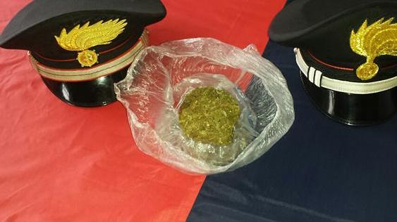 Nasconde la marijuana in uno scatolone: denunciato