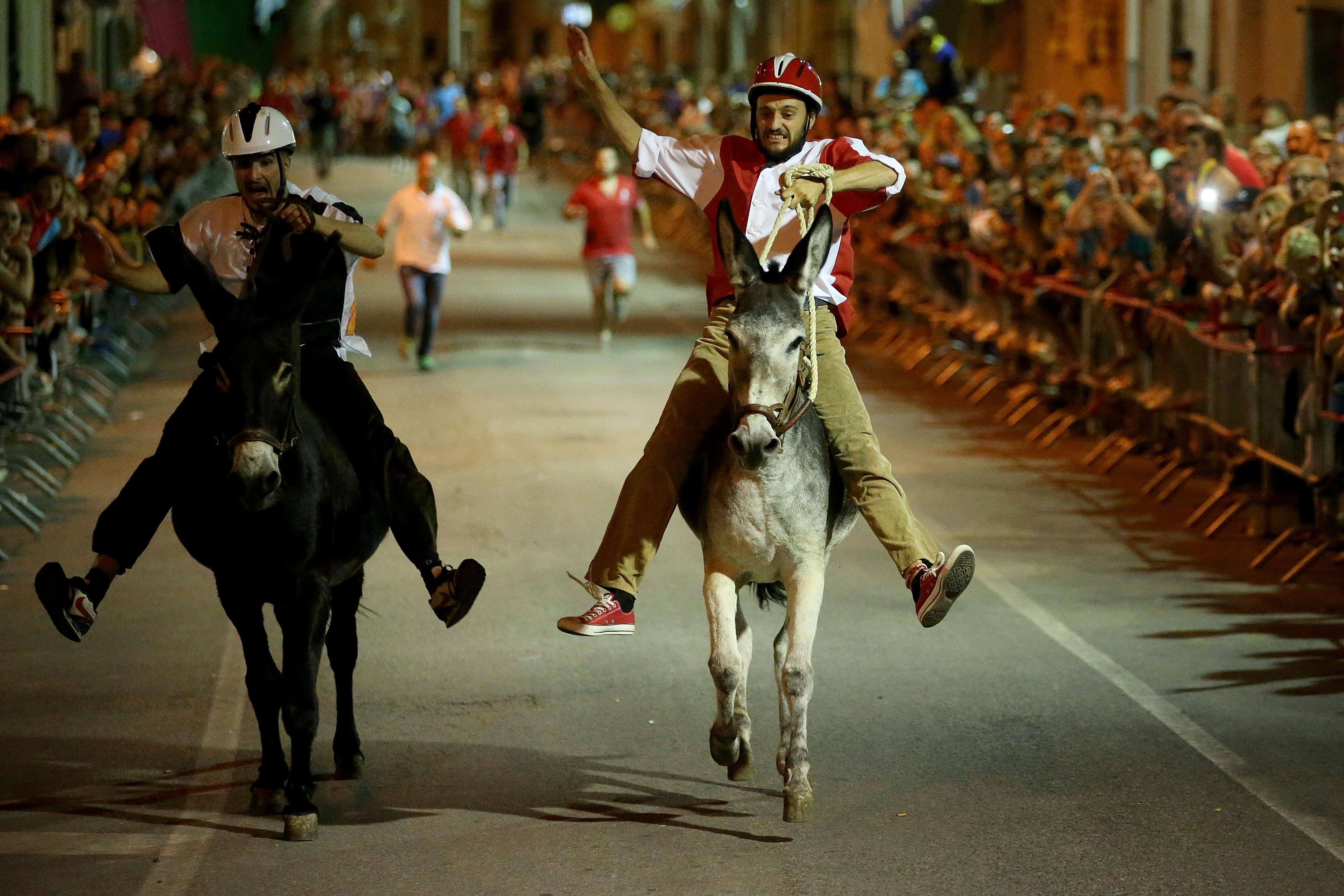 Con i colori bianco neri, Tramonto, a sinistra nella foto, vince il Palio dei ciuchi di Roccatederighi (foto di Franco Origlia)