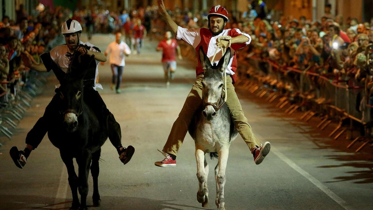 Con i colori bianco neri, Tramonto, a sinistra nella foto, vince il Palio dei ciuchi di Roccatederighi (foto di Franco Origlia)