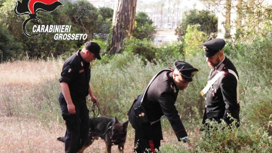 Un controllo dei carabinieri