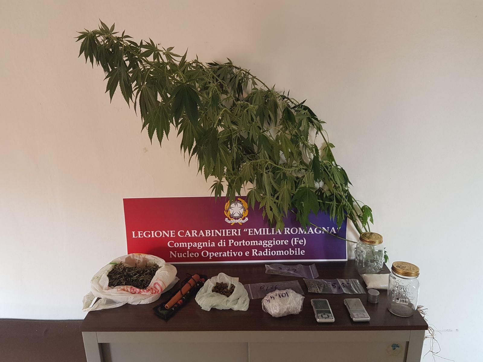 Il materiale sequestrato dai carabinieri