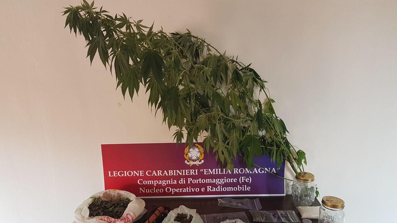 Il materiale sequestrato dai carabinieri