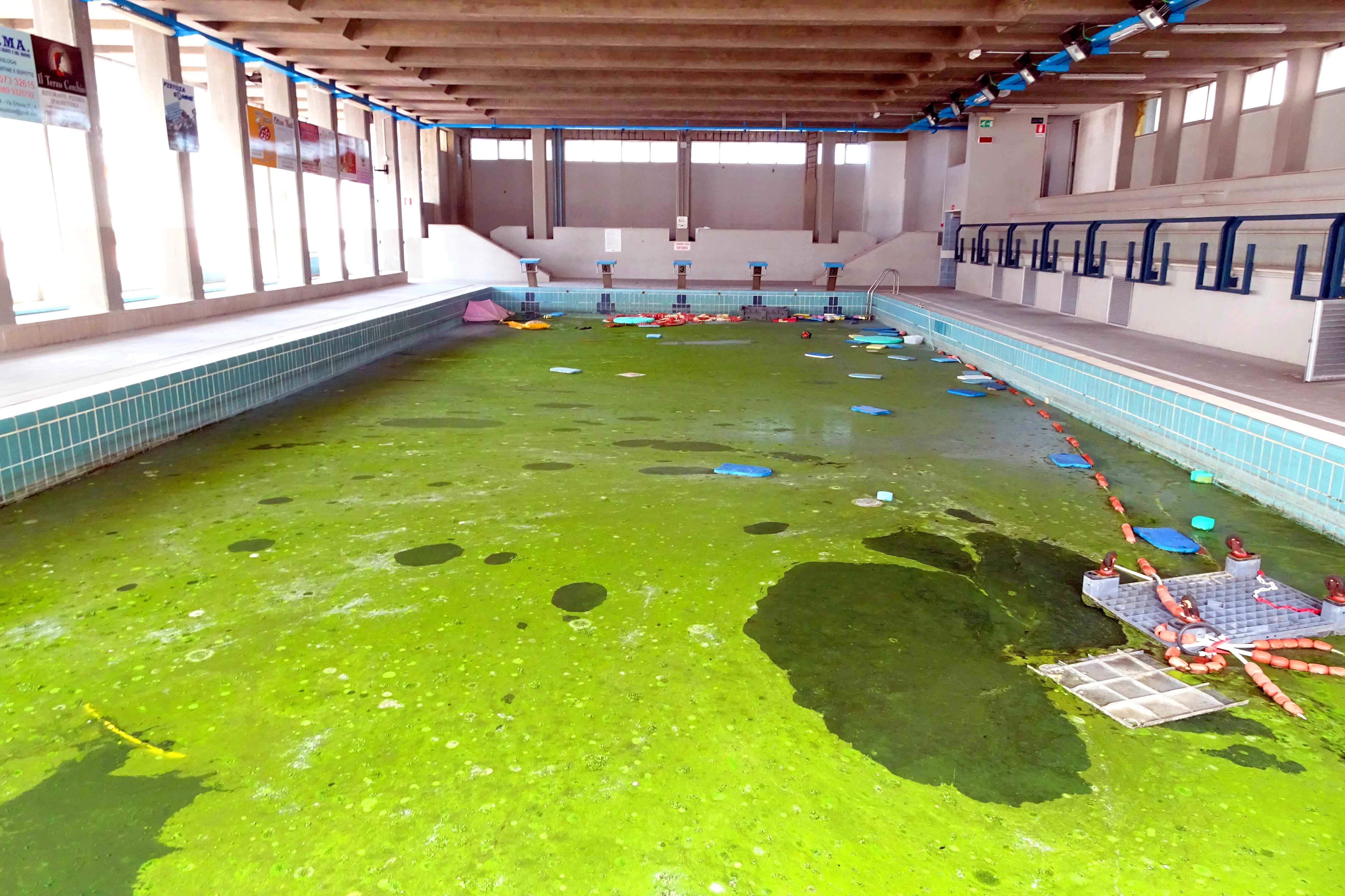  La piscina trasformata in palude