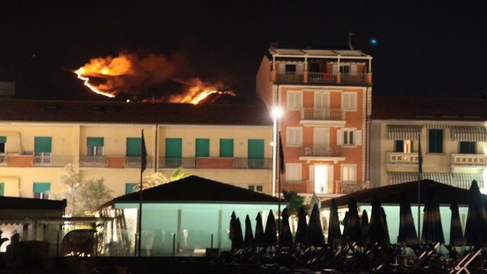 Gli inquirenti: aiutateci a scoprire chi è stato