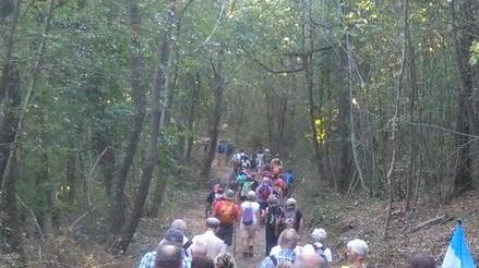 Ruspa e strada nel bosco i 100 no di Legambiente