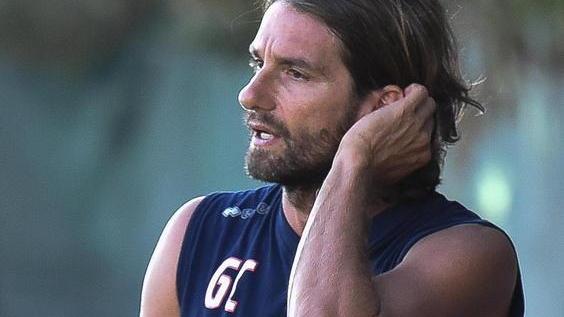 Grifone in campo sabato a S. Donato