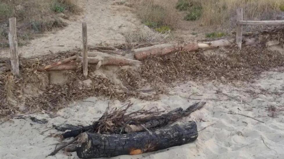 Fanno a pezzi la staccionata e accendono falò in spiaggia