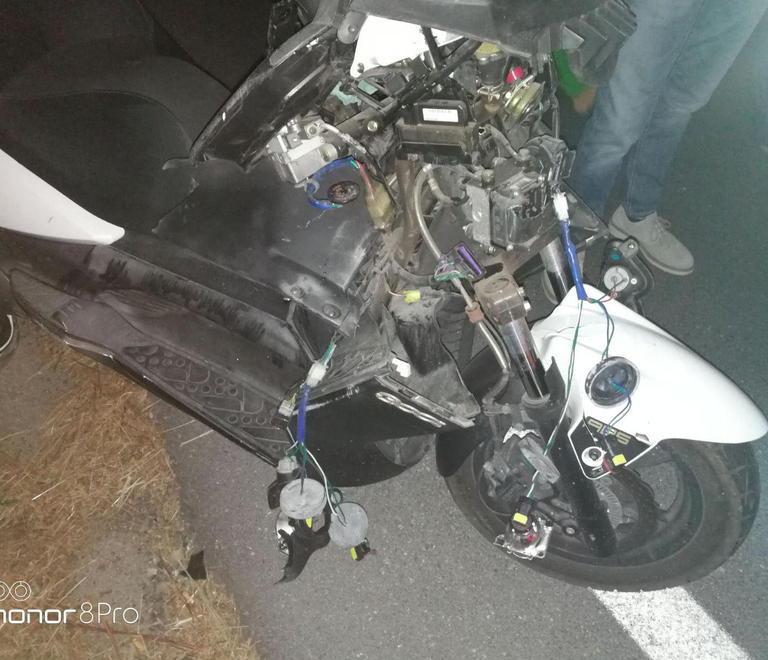 «Incidenti evitabili con la protezione di recinzioni elettriche» 