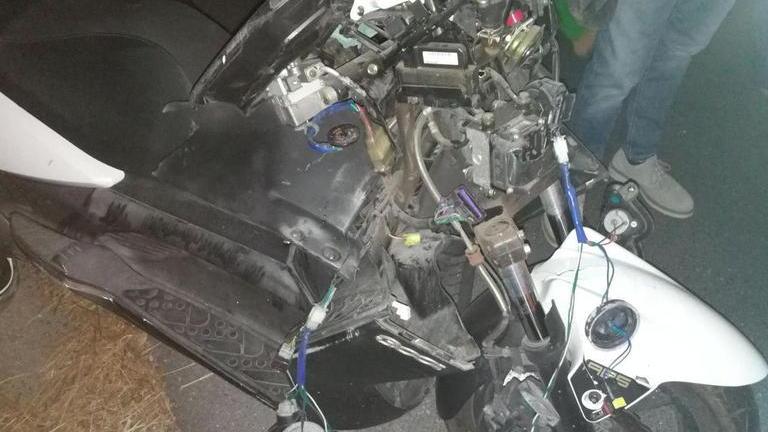 «Incidenti evitabili con la protezione di recinzioni elettriche»