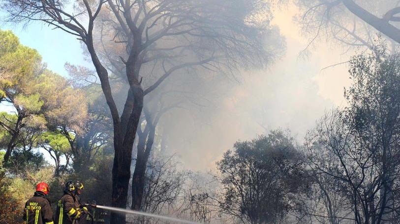 Mozart in pineta per ricordare il maxi incendio