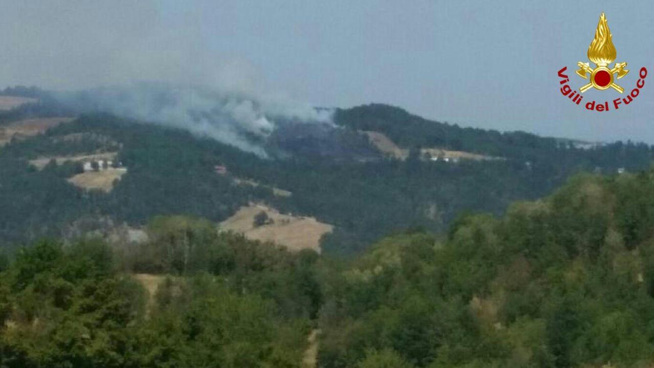 Canossa: vasto incendio nei boschi tra Vedriano e Gombio