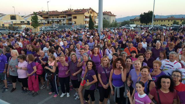 Camminotte in Viola