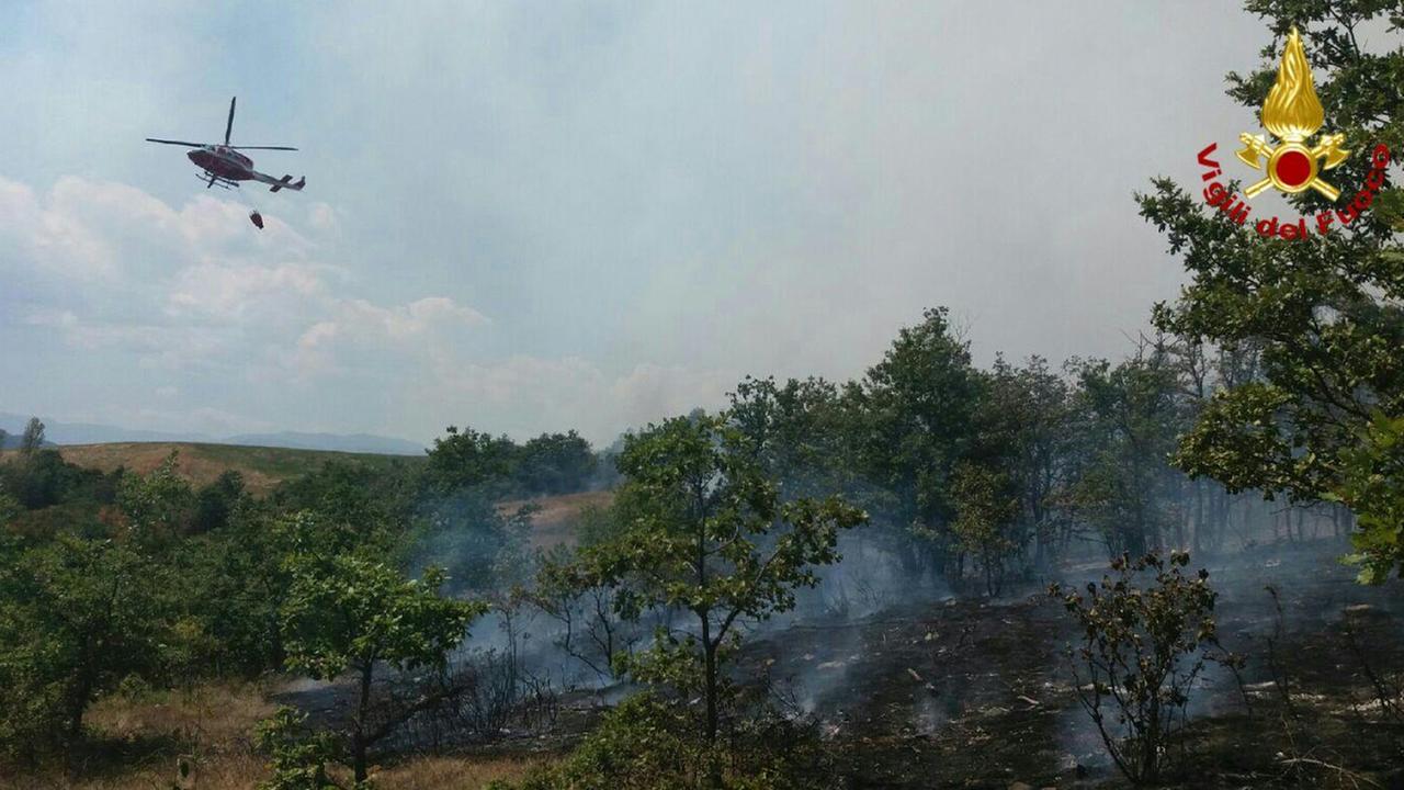 Incendi nei boschi a Canossa e Casina: interviene un Canadair