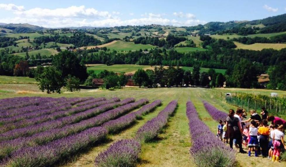 Agricoltori da Oscar grazie a lumache e lavanda 