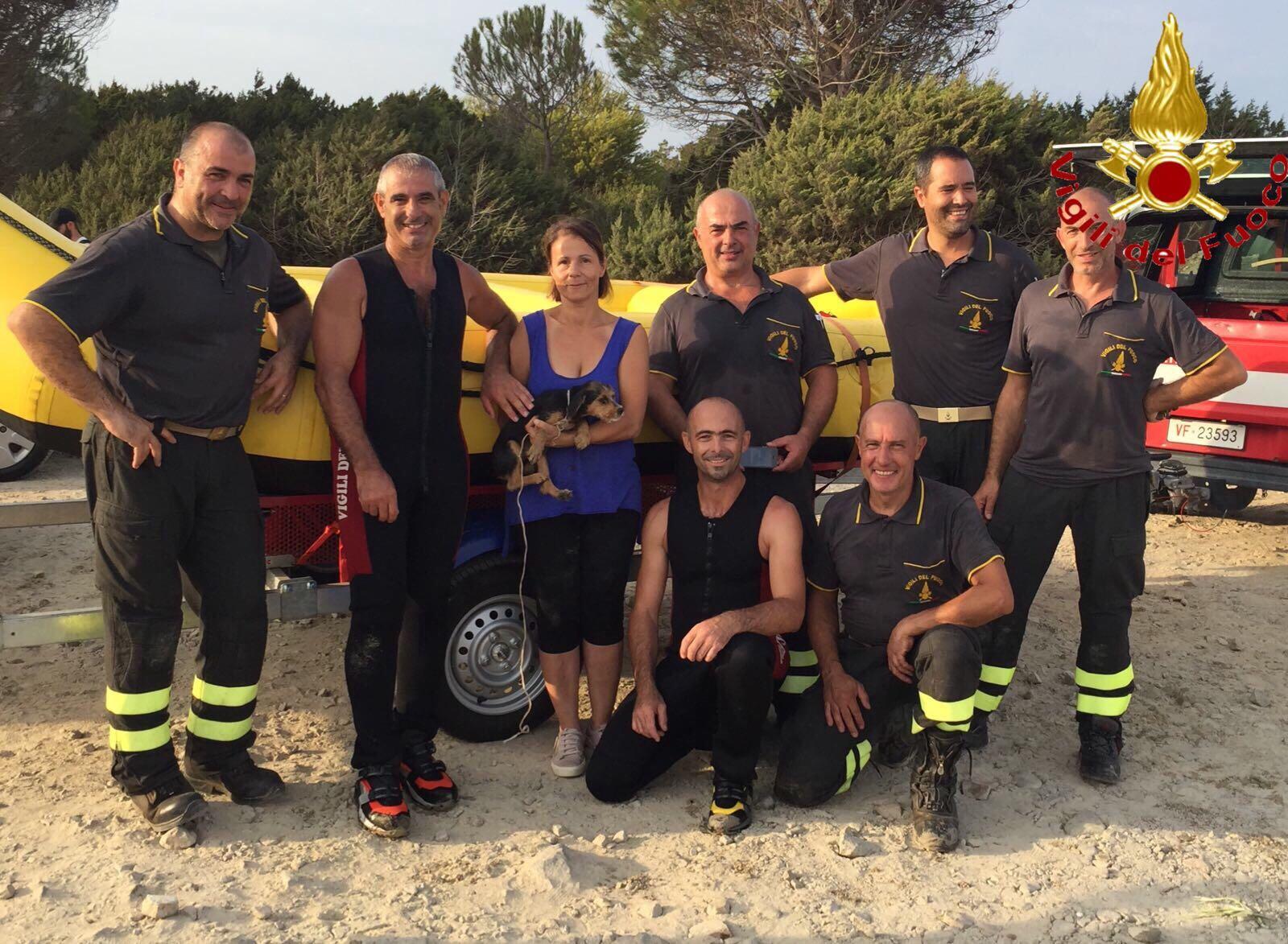 Cane incastrato in una tana per tre giorni, salvato dai vigili del fuoco a Orosei