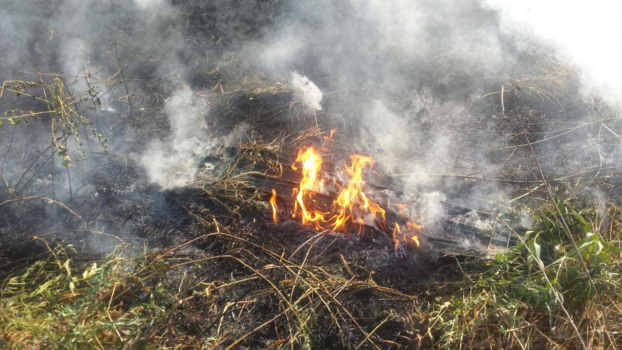 Reggio Emilia, fumo nero in Gardenia: incendiata una baracca
