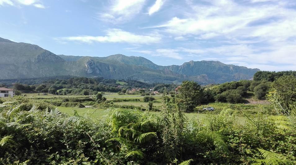 Il cammino di Compostela, mille chilometri per la vita