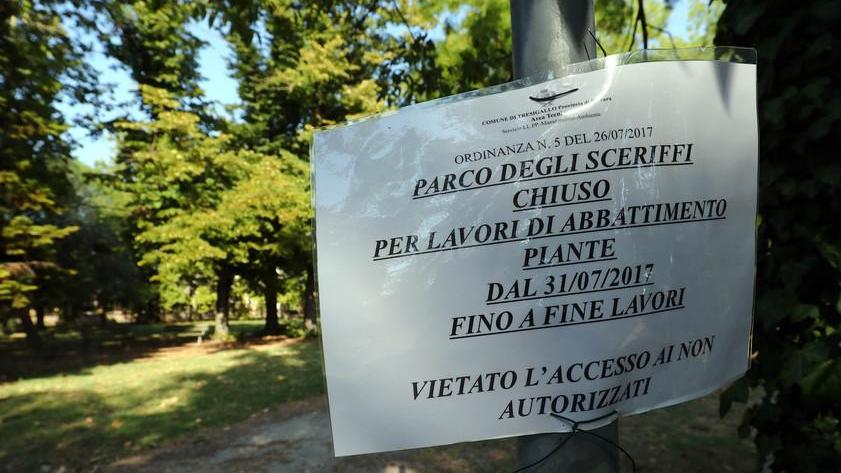 Nuovi alberi nel parco al posto di quelli abbattuti