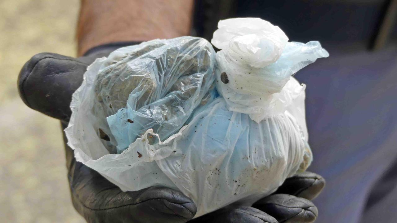 Ferrara, oltre un chilo di marijuana: due arresti