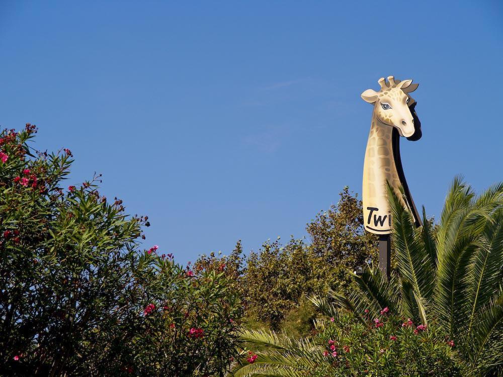 Il Twiga di Marina di Pietrasanta