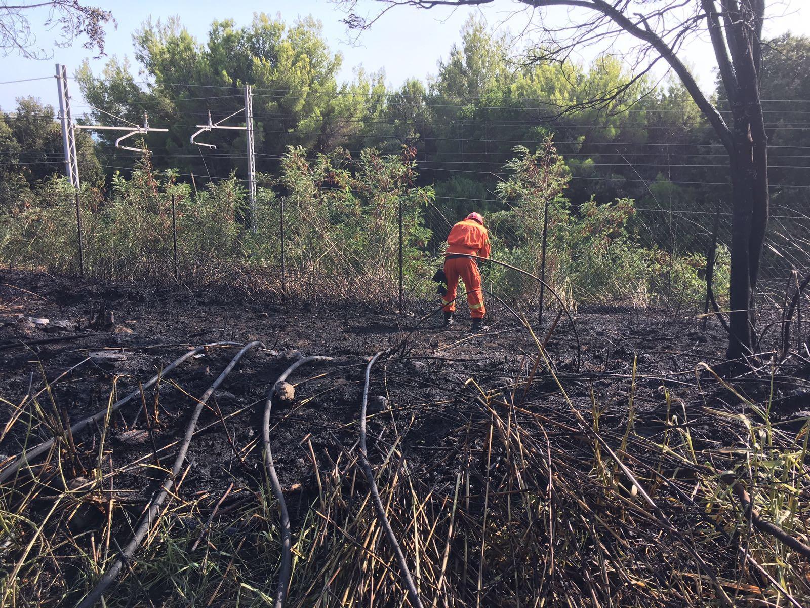 Vigili del fuoco al lavoro per bonificare l'area interessata dall'incendio al Fortullino