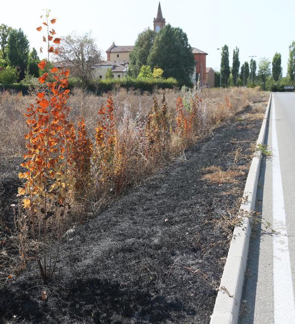 Modena, campo a fuoco a Saliceta, trovate due taniche di benzina 