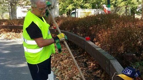 Il primo cittadino ripulisce il viale