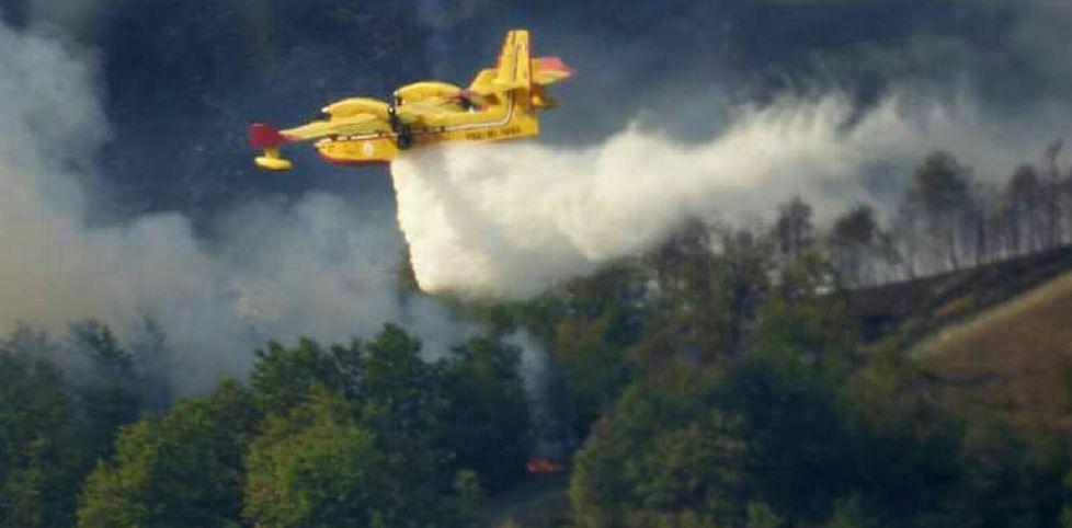 Indagini sugli incendi nei boschi 