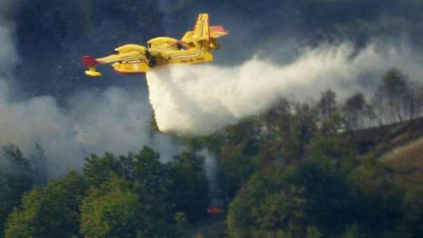 Indagini sugli incendi nei boschi
