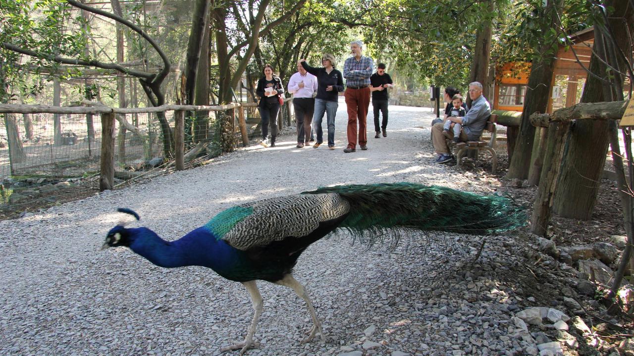Il Centro di scienze naturali di Galceti