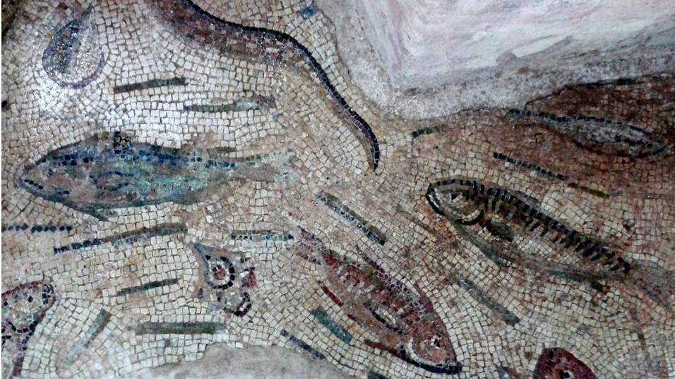 All’Antiquarium i segreti del pesce nell’antichità 