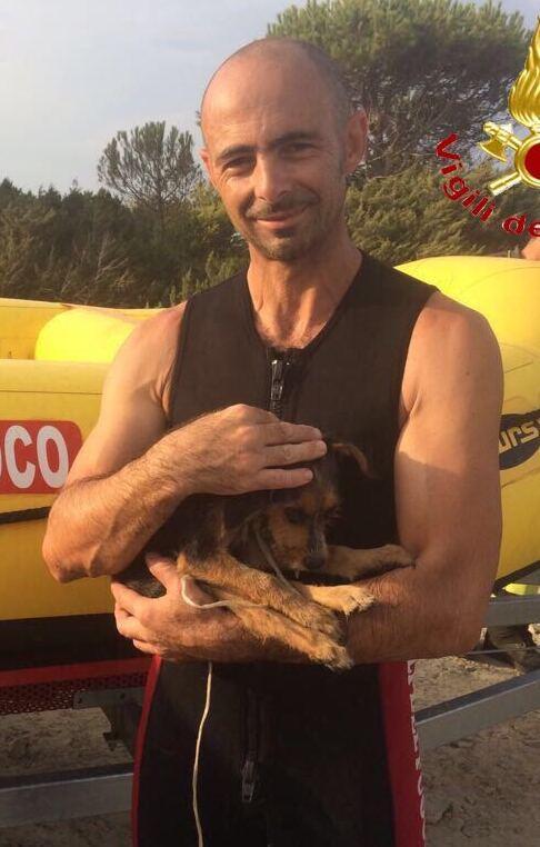 Cane in trappola da giorni: salvato 