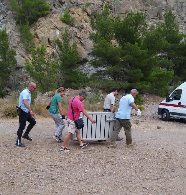 Cattura dei cinghiali di Calignaia: raccolta di fondi per fare il ricorso