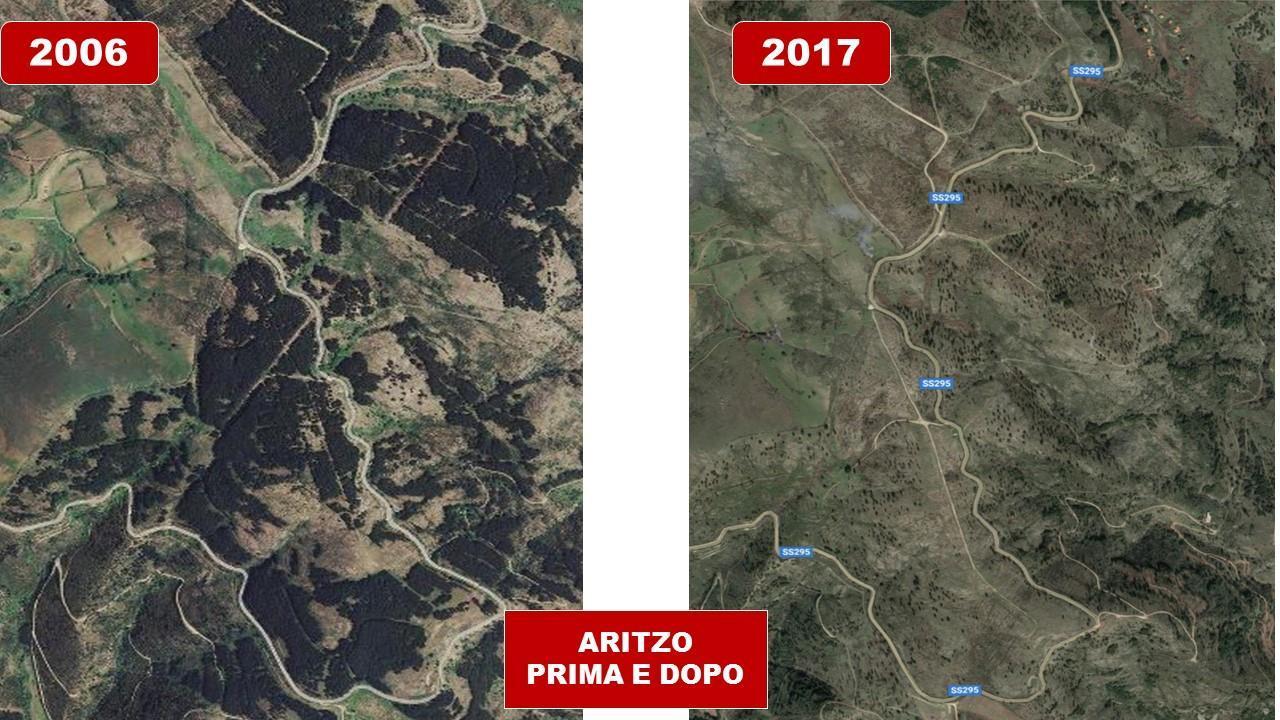 Aritzo spogliata delle sue foreste: la denuncia del deputato Mauro Pili