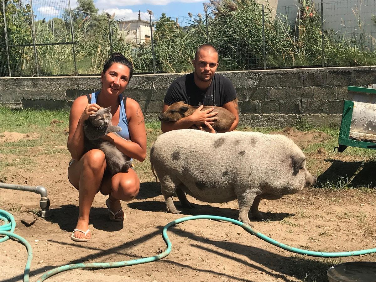 «Noi dormiamo con un maialino nel lettone» - Video